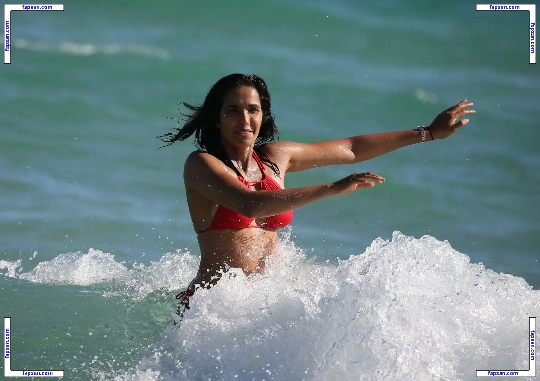 Padma Lakshmi nude photo #0143 from OnlyFans