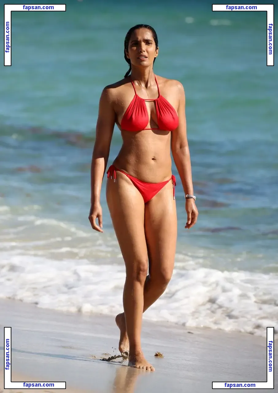 Padma Lakshmi nude photo #0149 from OnlyFans