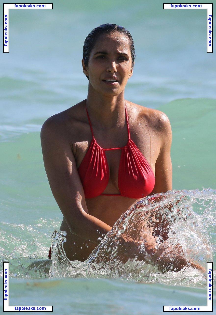 Padma Lakshmi / PadmaLakshmi nude photo #0191 from OnlyFans