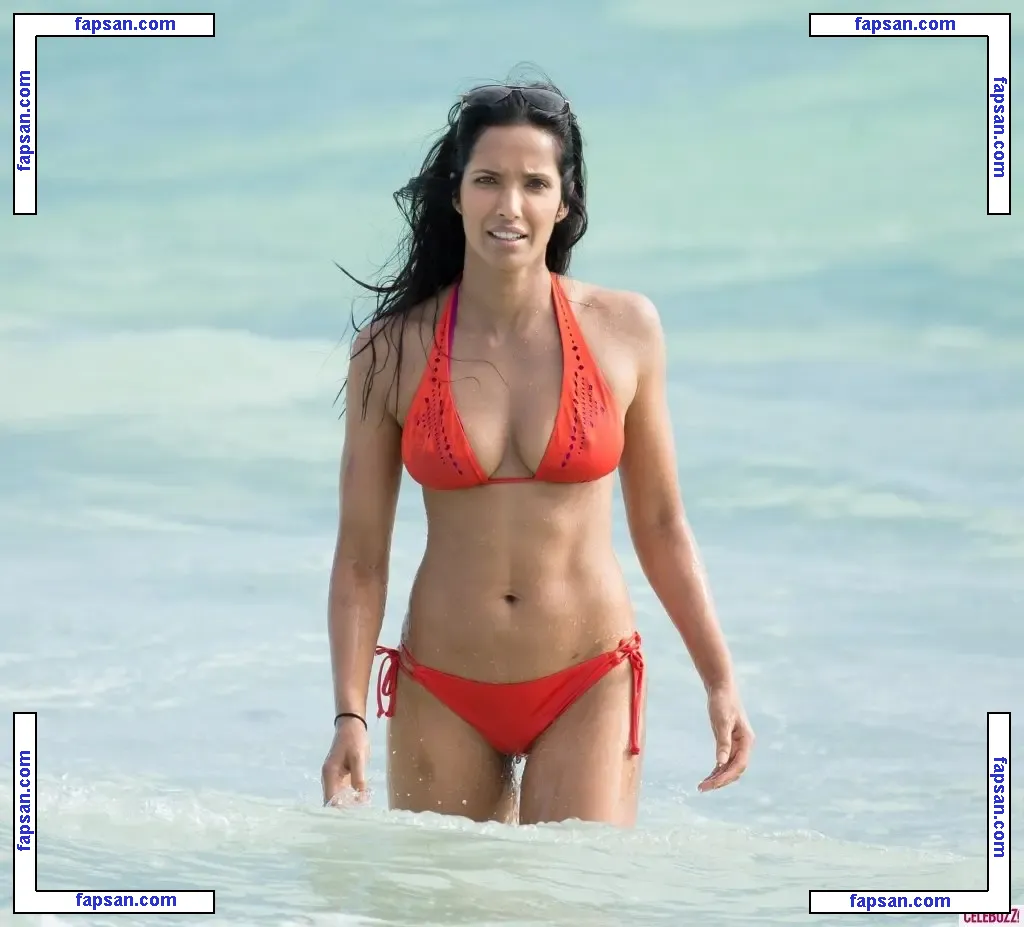 Padma Lakshmi nude photo #0389 from OnlyFans