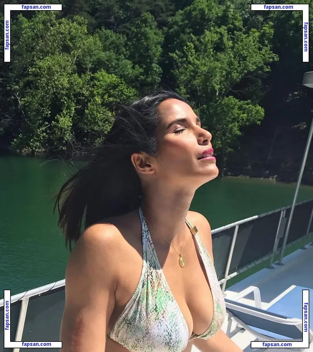 Padma Lakshmi nude photo #0442 from OnlyFans