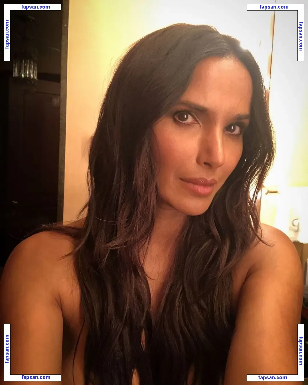 Padma Lakshmi nude photo #0472 from OnlyFans