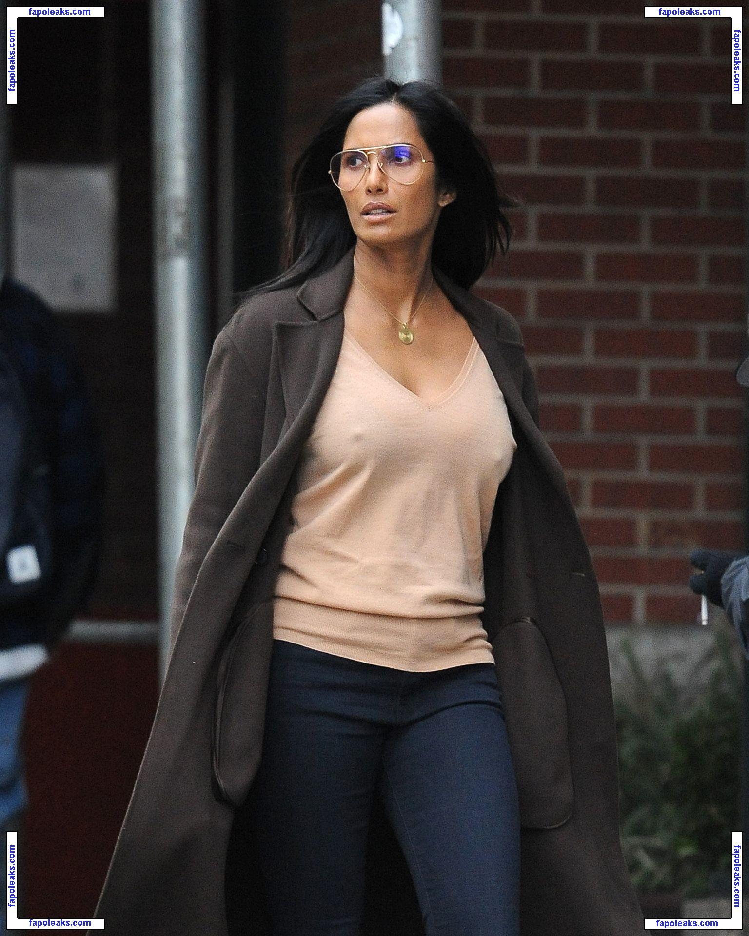 Padma Lakshmi / PadmaLakshmi голая фото #0590 с Онлифанс