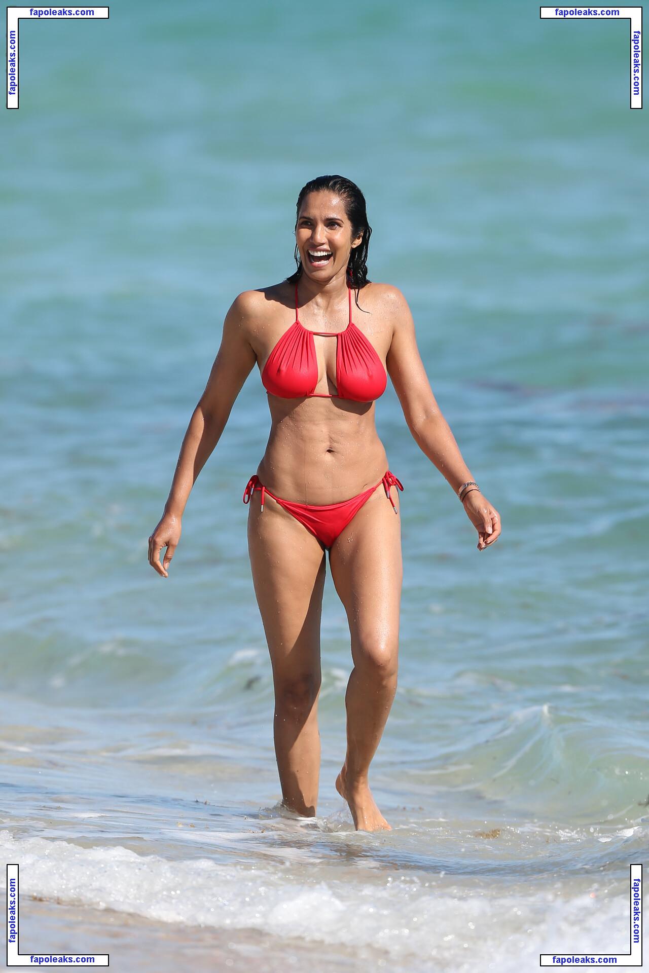 Padma Lakshmi / PadmaLakshmi nude photo #0597 from OnlyFans