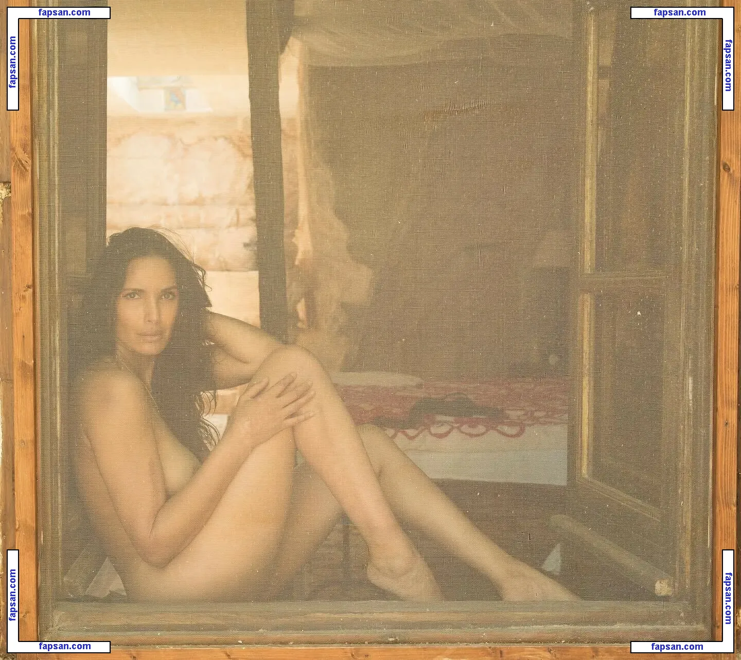 Padma Lakshmi nude photo #0764 from OnlyFans