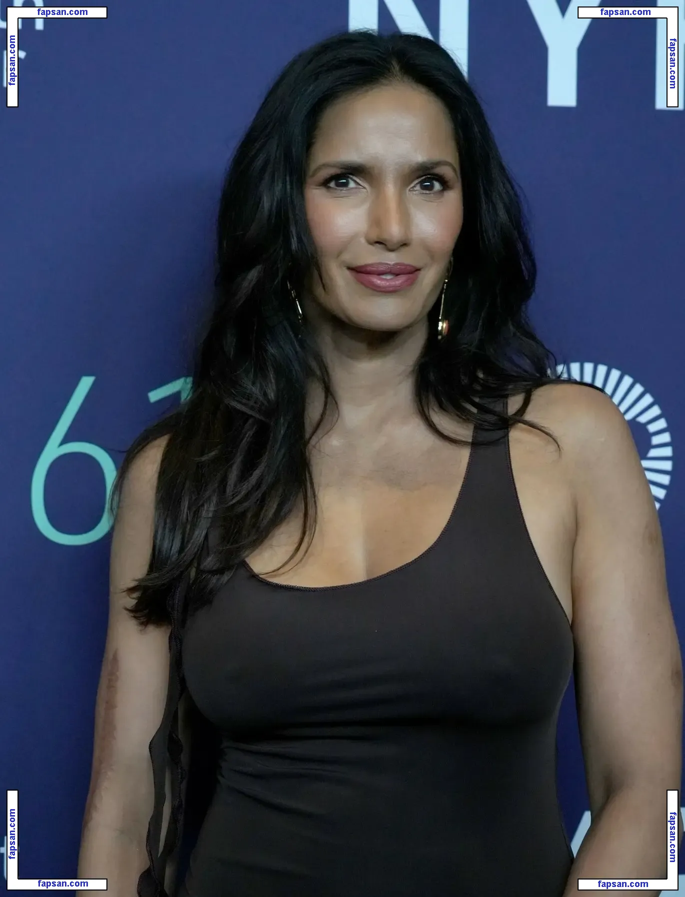 Padma Lakshmi nude photo #0835 from OnlyFans