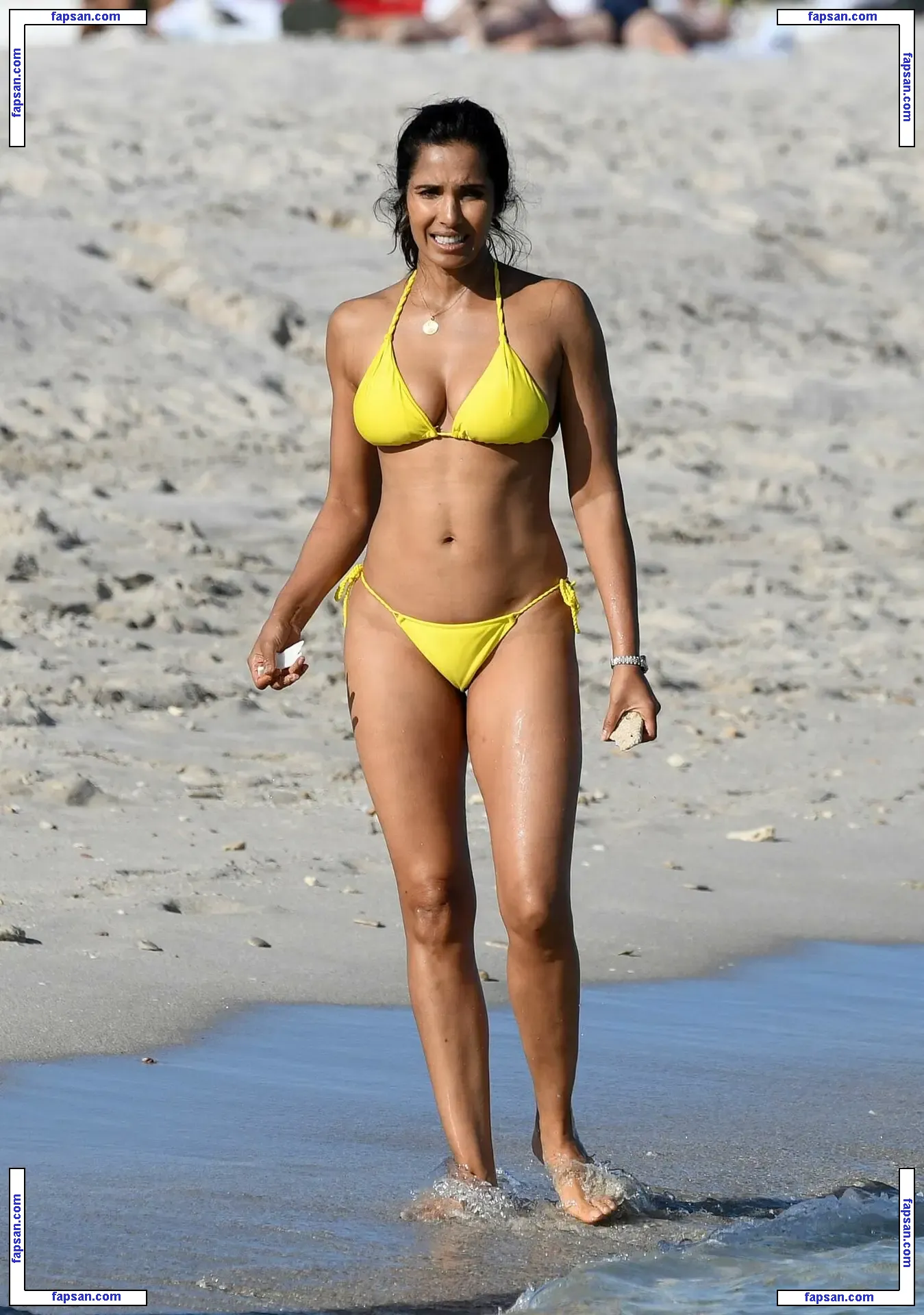 Padma Lakshmi nude photo #0863 from OnlyFans