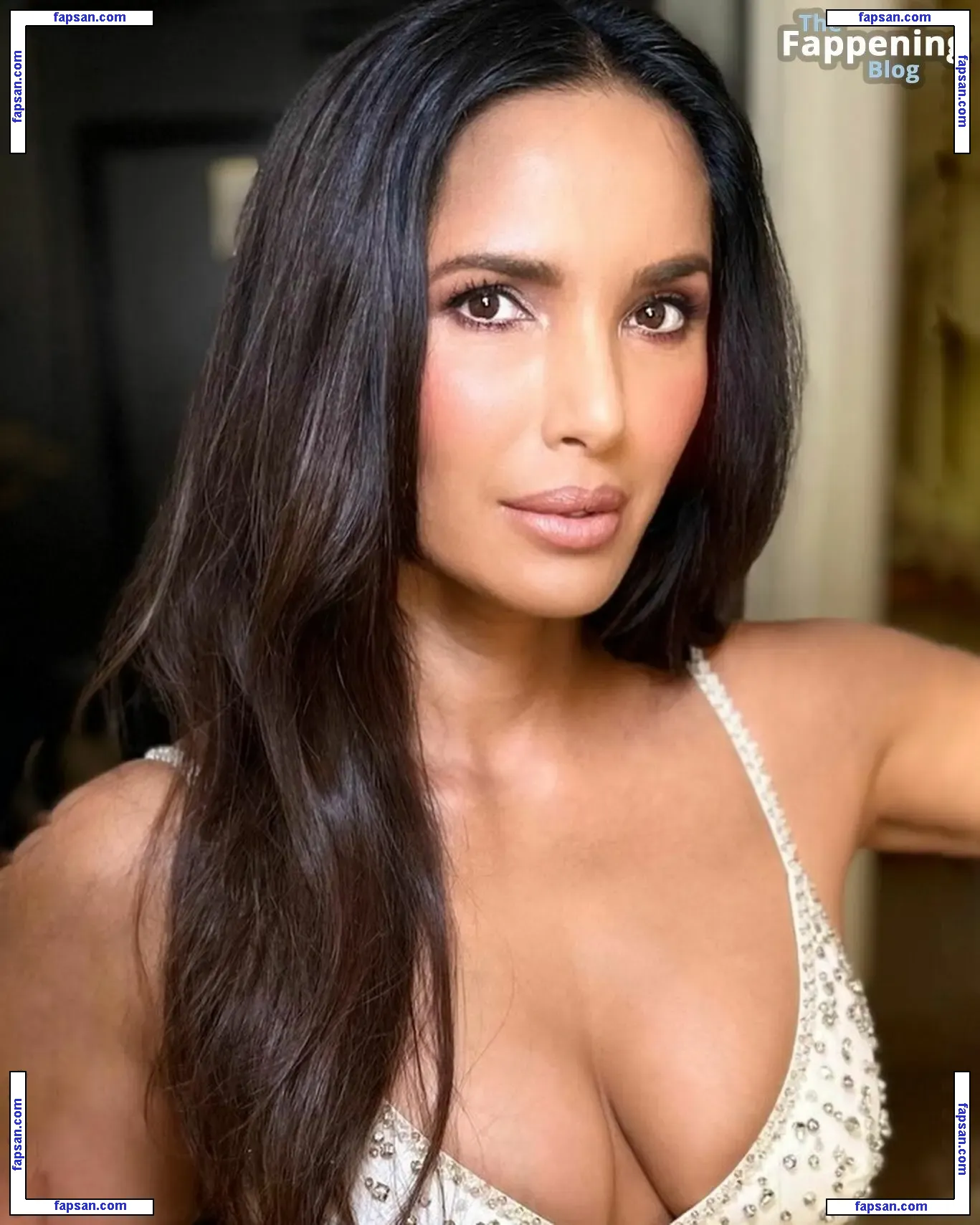 Padma Lakshmi nude photo #0977 from OnlyFans