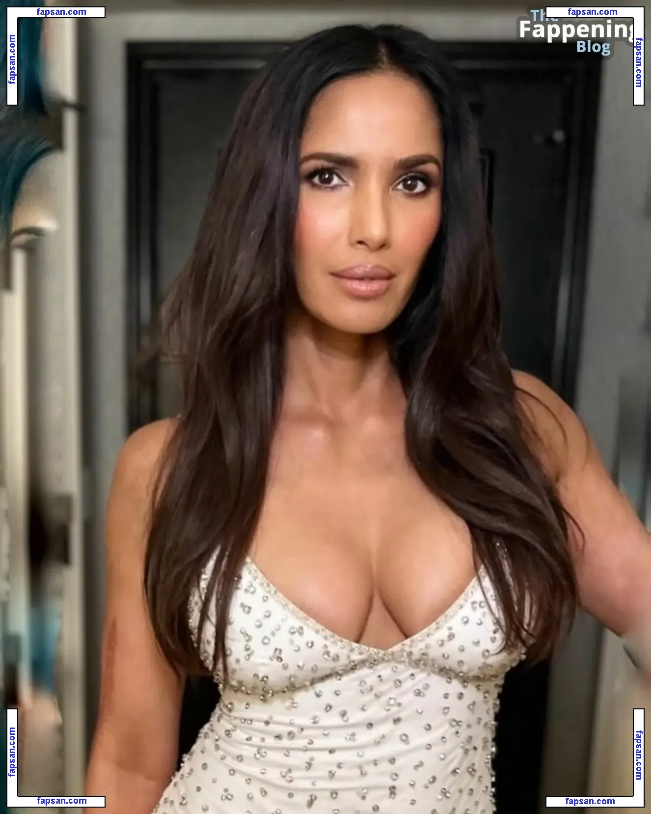 Padma Lakshmi nude photo #0979 from OnlyFans