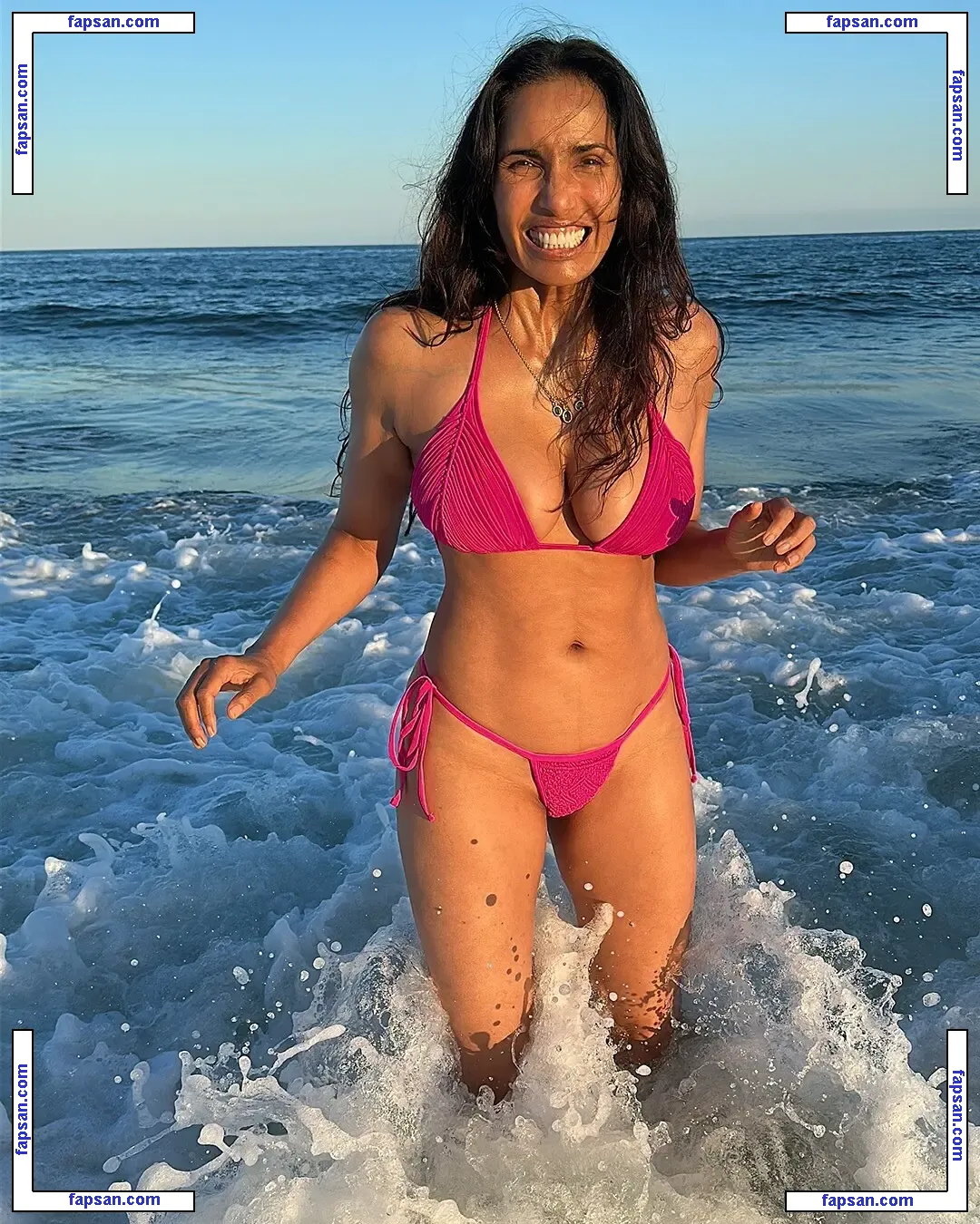 Padma Lakshmi nude photo #1001 from OnlyFans