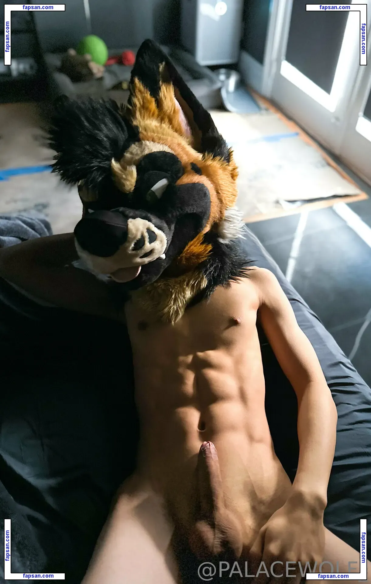 palacewolf nude photo #0018 from OnlyFans