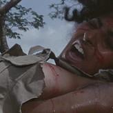 Pam Grier nude #0111