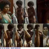 Pam Grier голая #0194