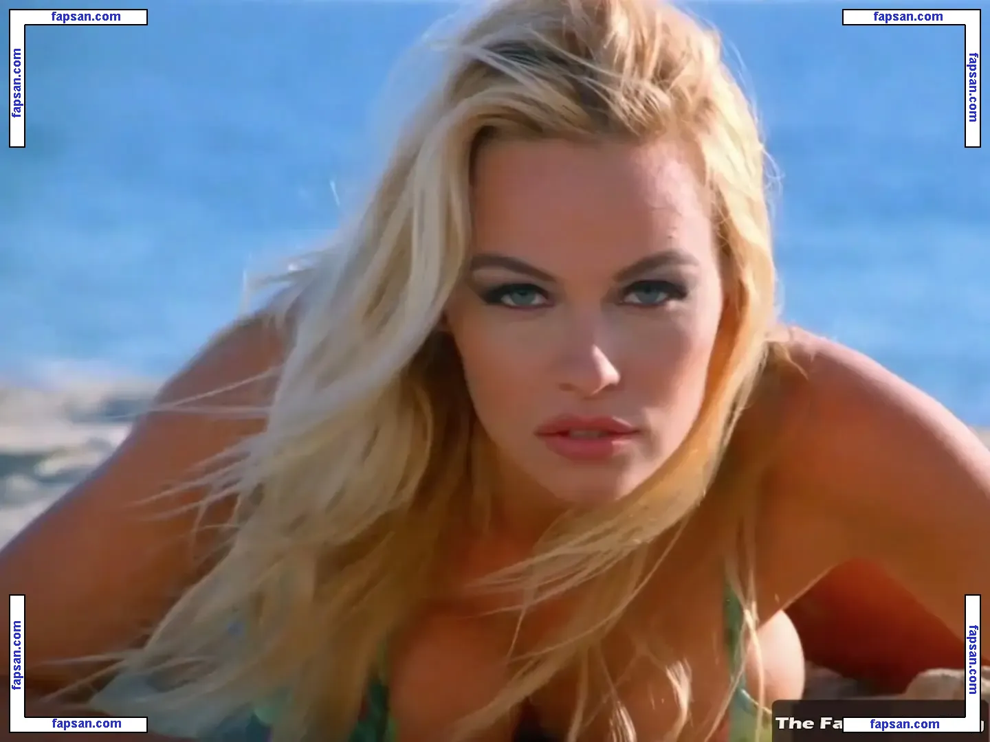 Pamela Anderson голая фото #1861 с Онлифанс