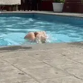 Pamela Benavente голая #0100