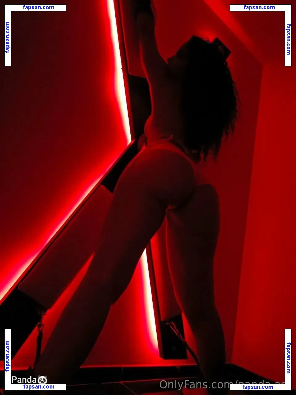 panda.ass nude photo #0015 from OnlyFans