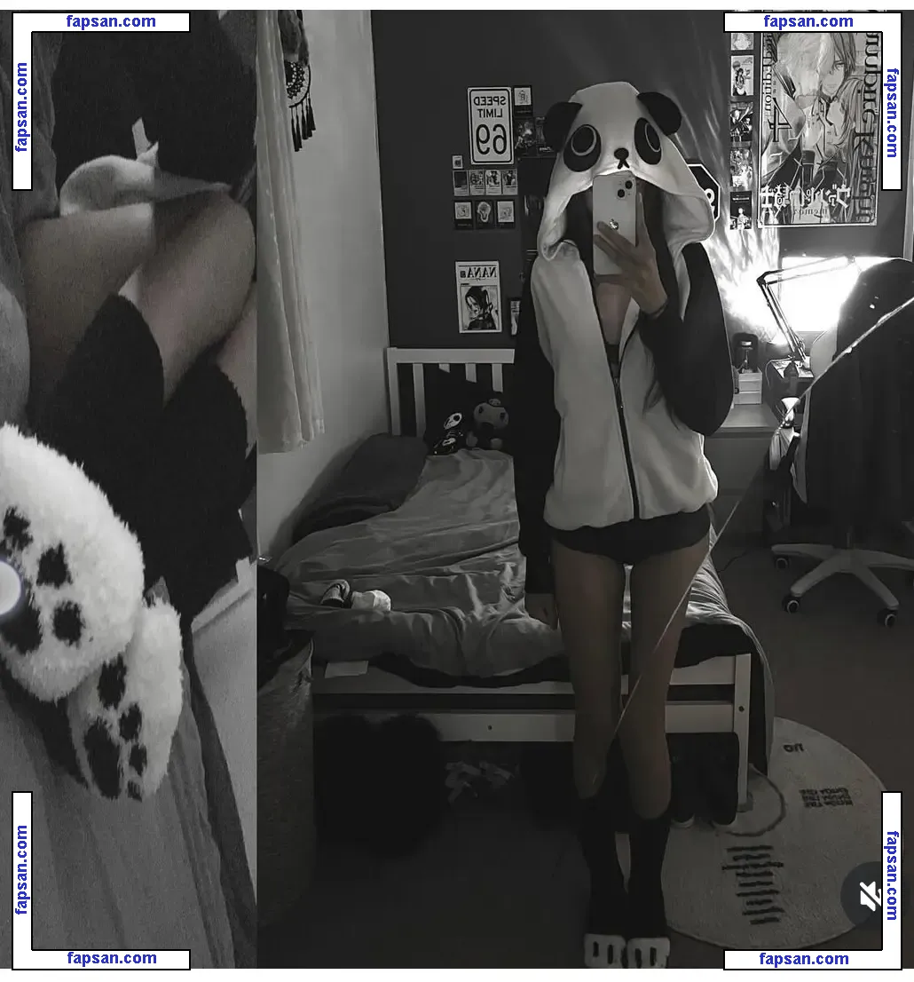 Pandastuds nude photo #0006 from OnlyFans