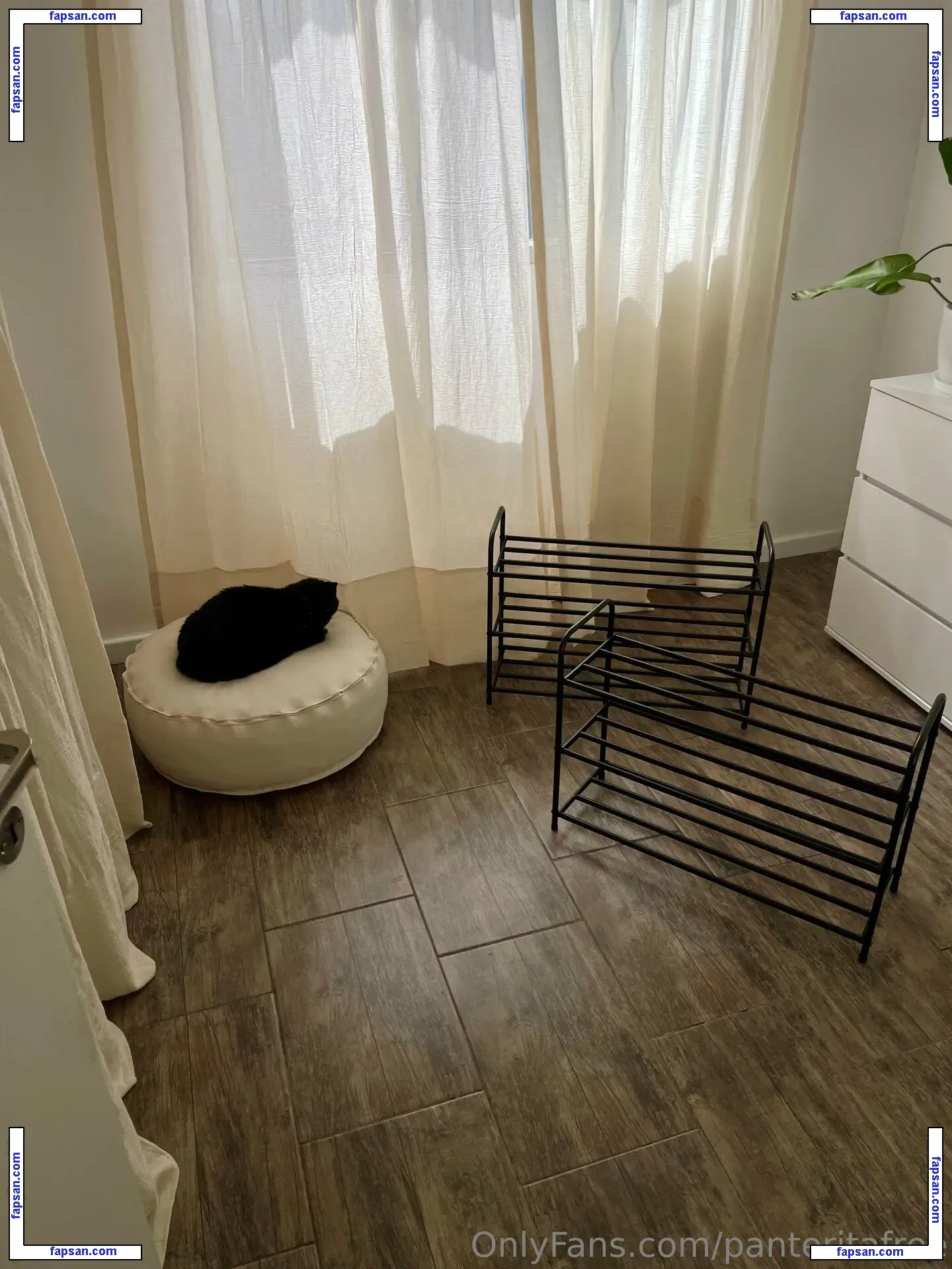 panteritafree голая фото #0009 с Онлифанс