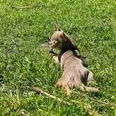 panteritafree голая #0006