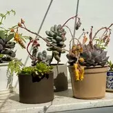 panteritafree голая #0008