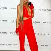 Paris Hilton nude #4055