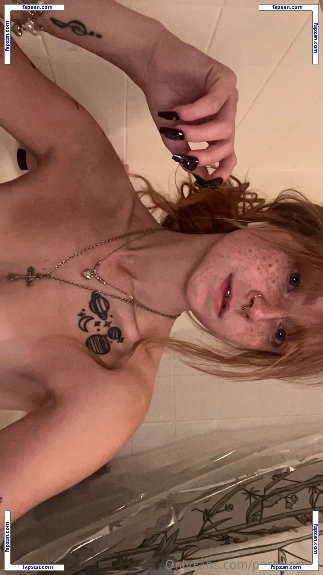 pastelartist nude photo #0078 from OnlyFans