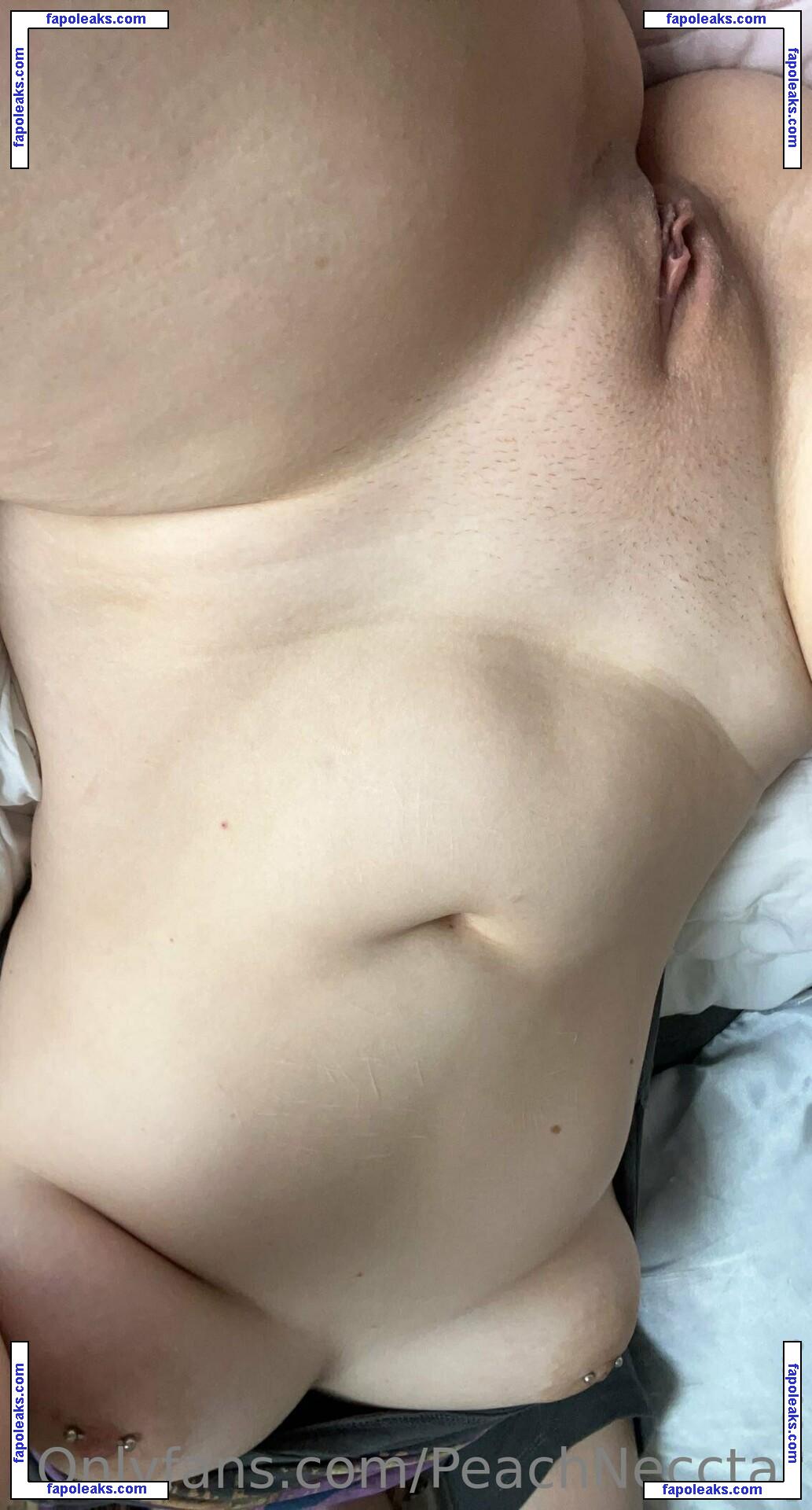 peachnecctar / peach.necctar nude photo #0006 from OnlyFans