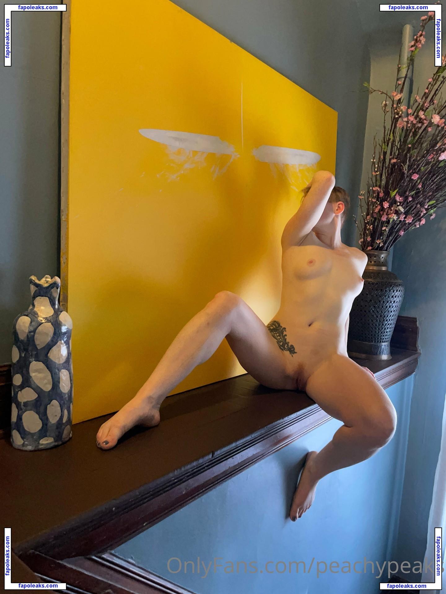 Peachypeaks nude photo #0037 from OnlyFans