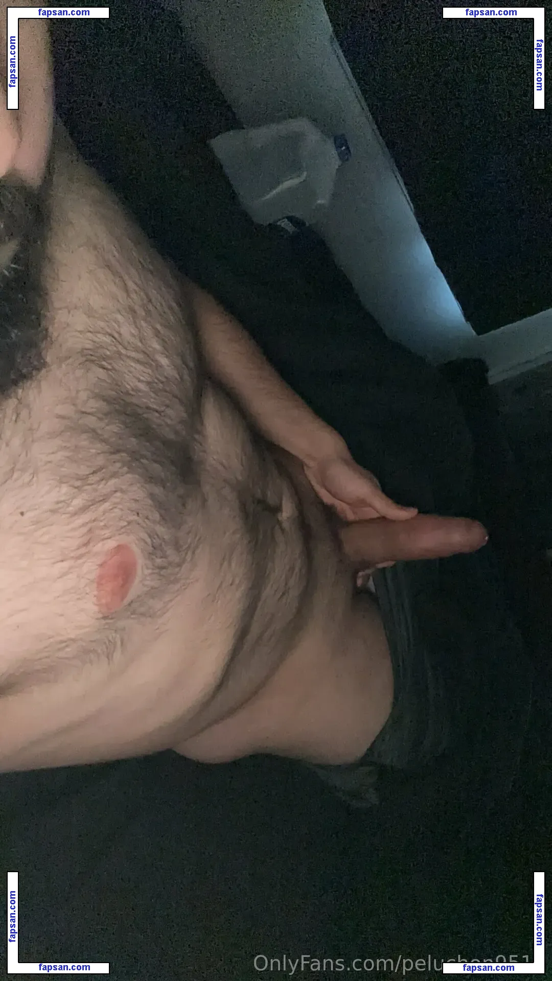 peluchon9518 nude photo #0014 from OnlyFans