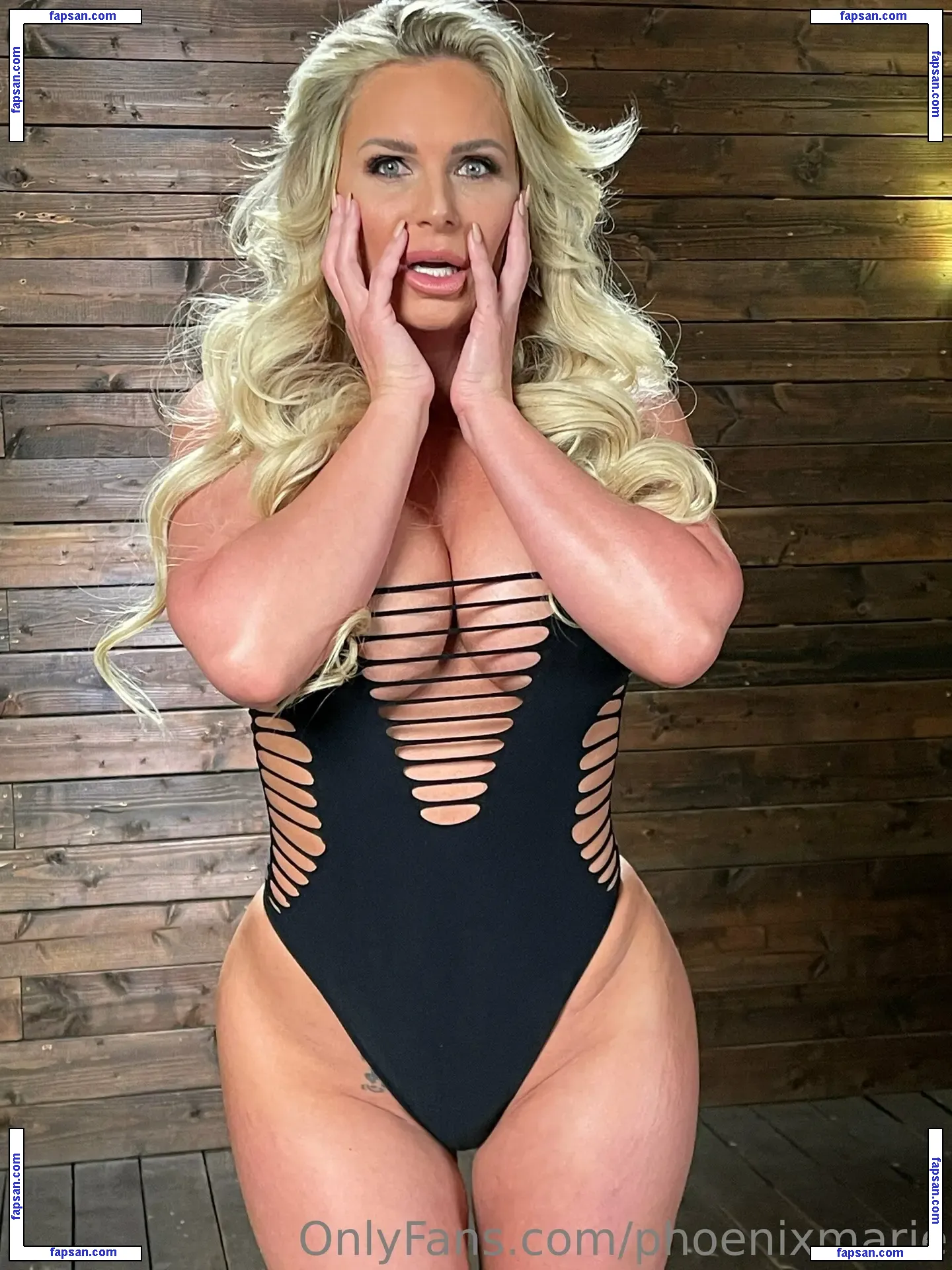 Phoenix Marie nude photo #0460 from OnlyFans