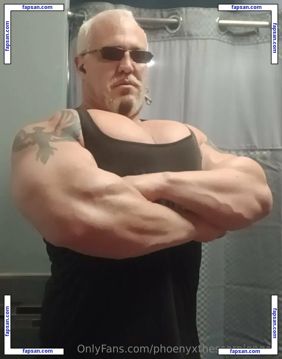 phoenyxthescorpiongod nude photo #0012 from OnlyFans