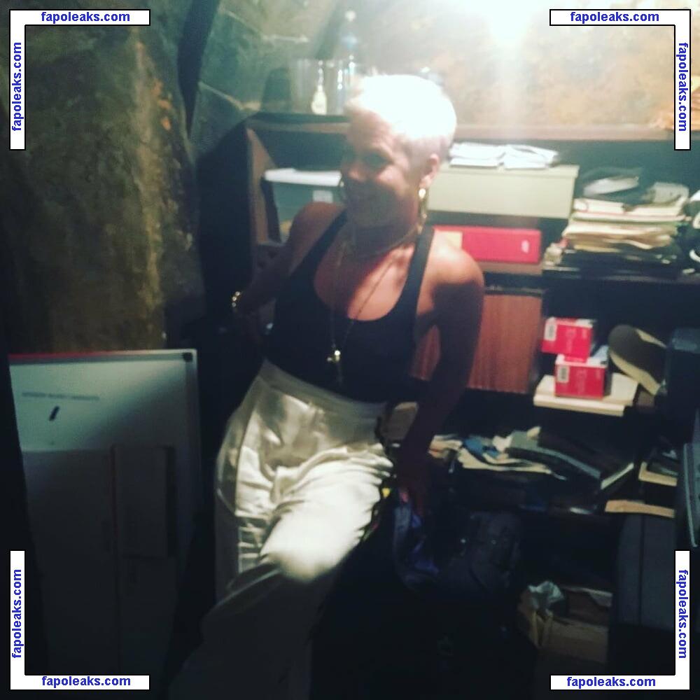 Pink / Alecia Beth Moore nude photo #0303 from OnlyFans