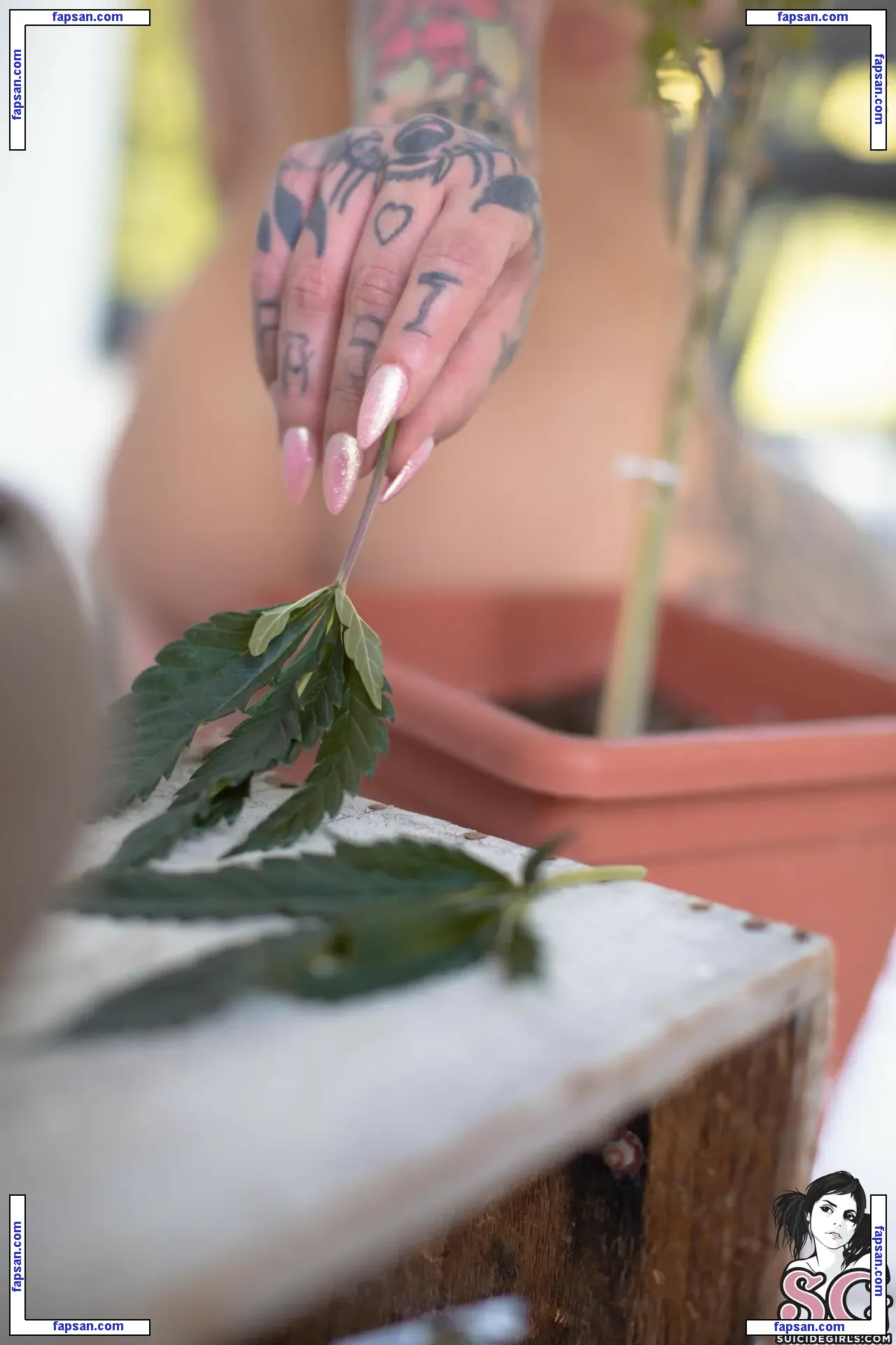 Pink Suicide nude photo #0158 from OnlyFans