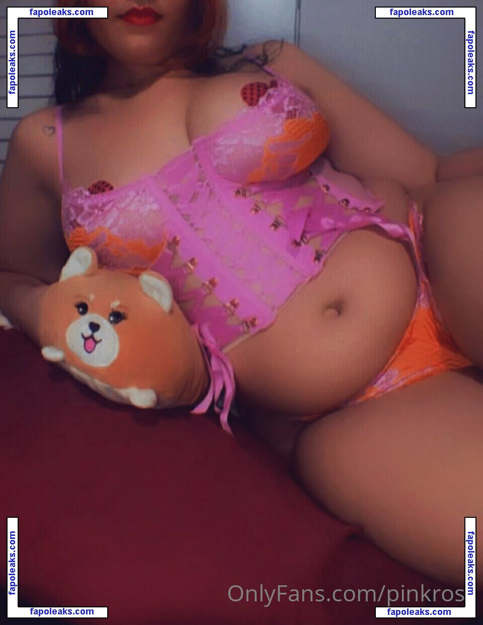 pinkrosa nude photo #0008 from OnlyFans