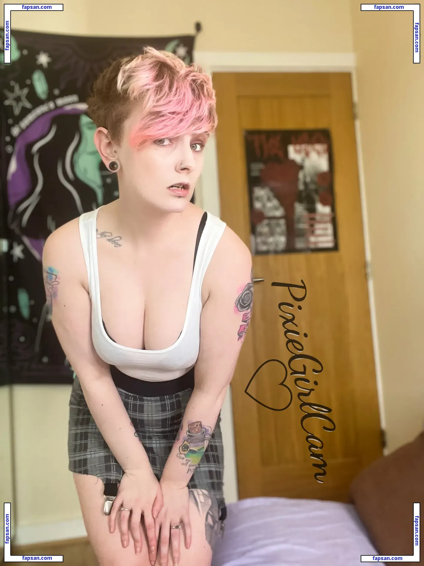 pixiegirlcam nude photo #0135 from OnlyFans