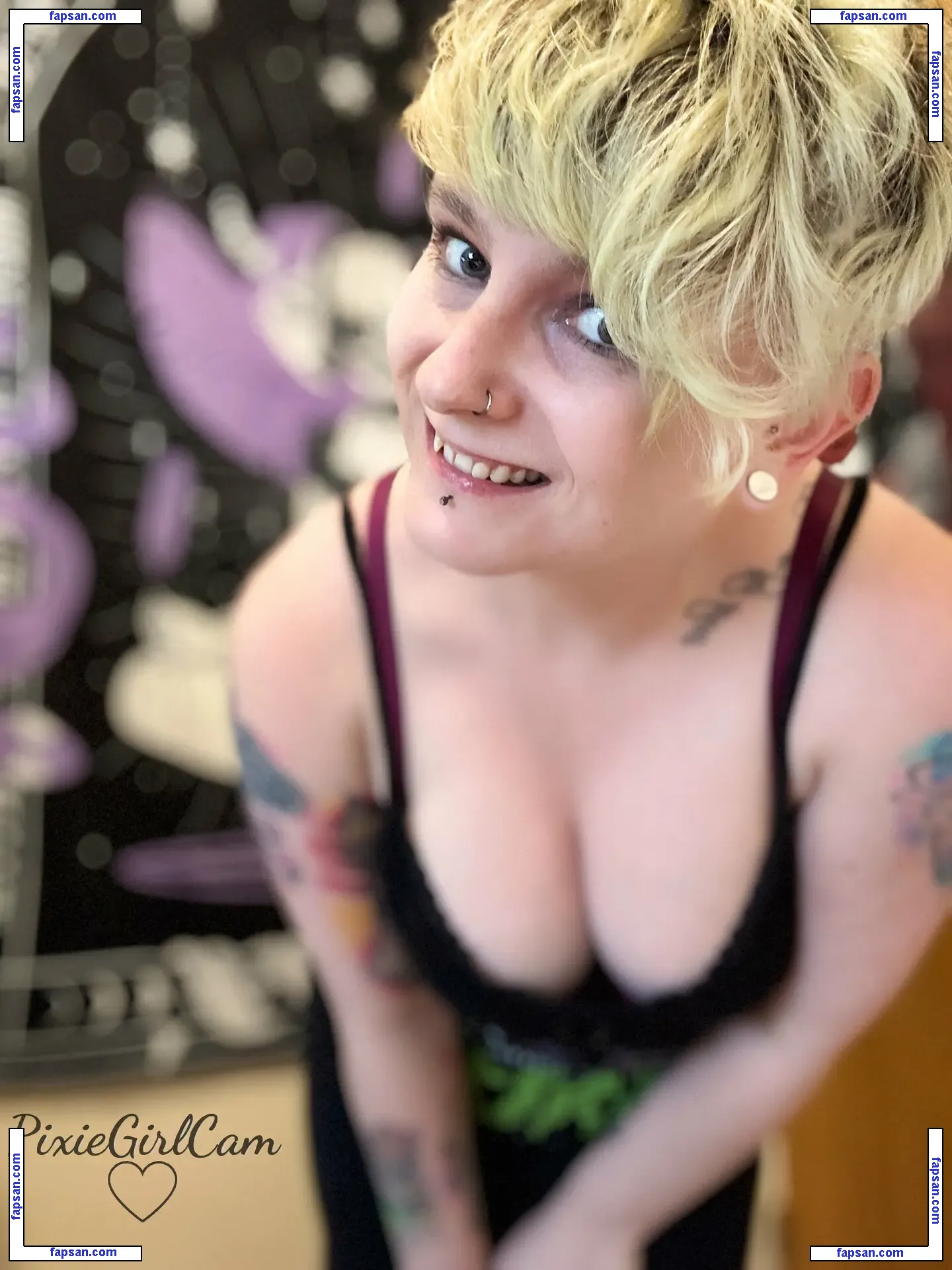 pixiegirlcam nude photo #0137 from OnlyFans