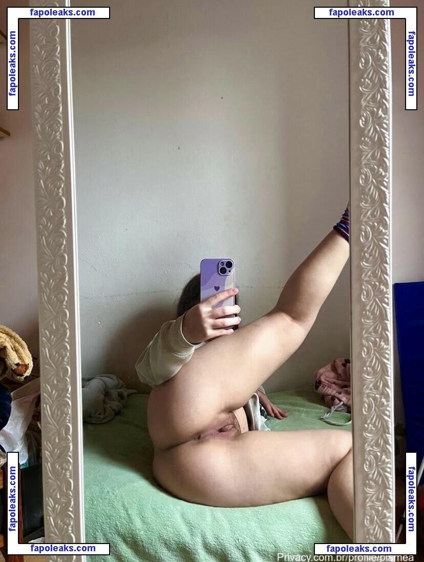 plamea / Pam / Plaameaa / Plameea nude photo #0022 from OnlyFans