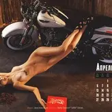 Playboy International голая #1977