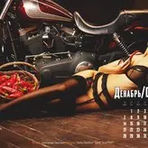 Playboy International голая #1980