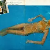Playboy International голая #2010