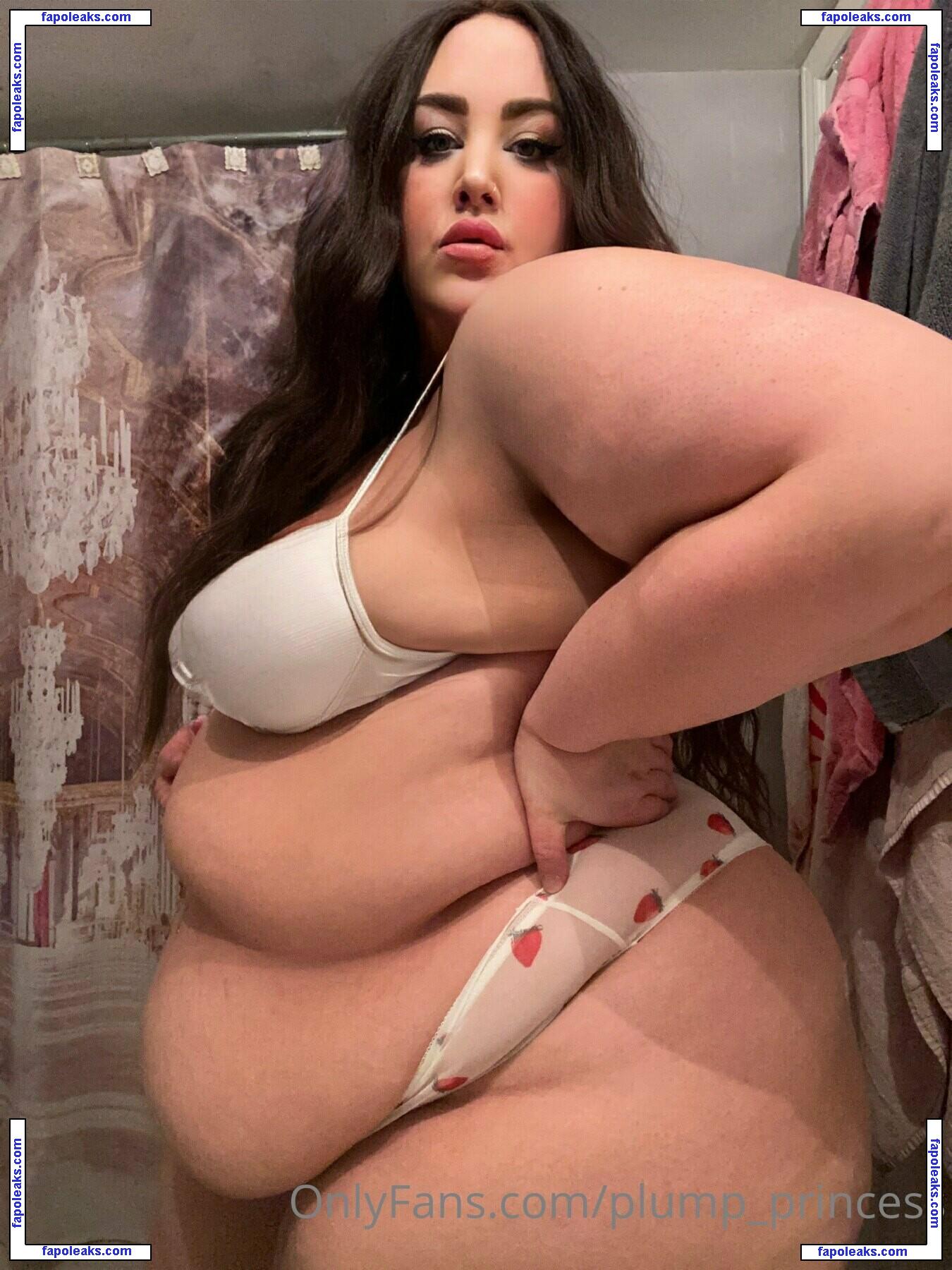 plump_princess nude photo #0025 from OnlyFans