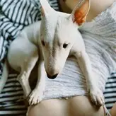 Polina Knyazeva голая #0337