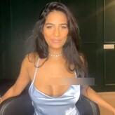 Poonam Pandey голая #0264