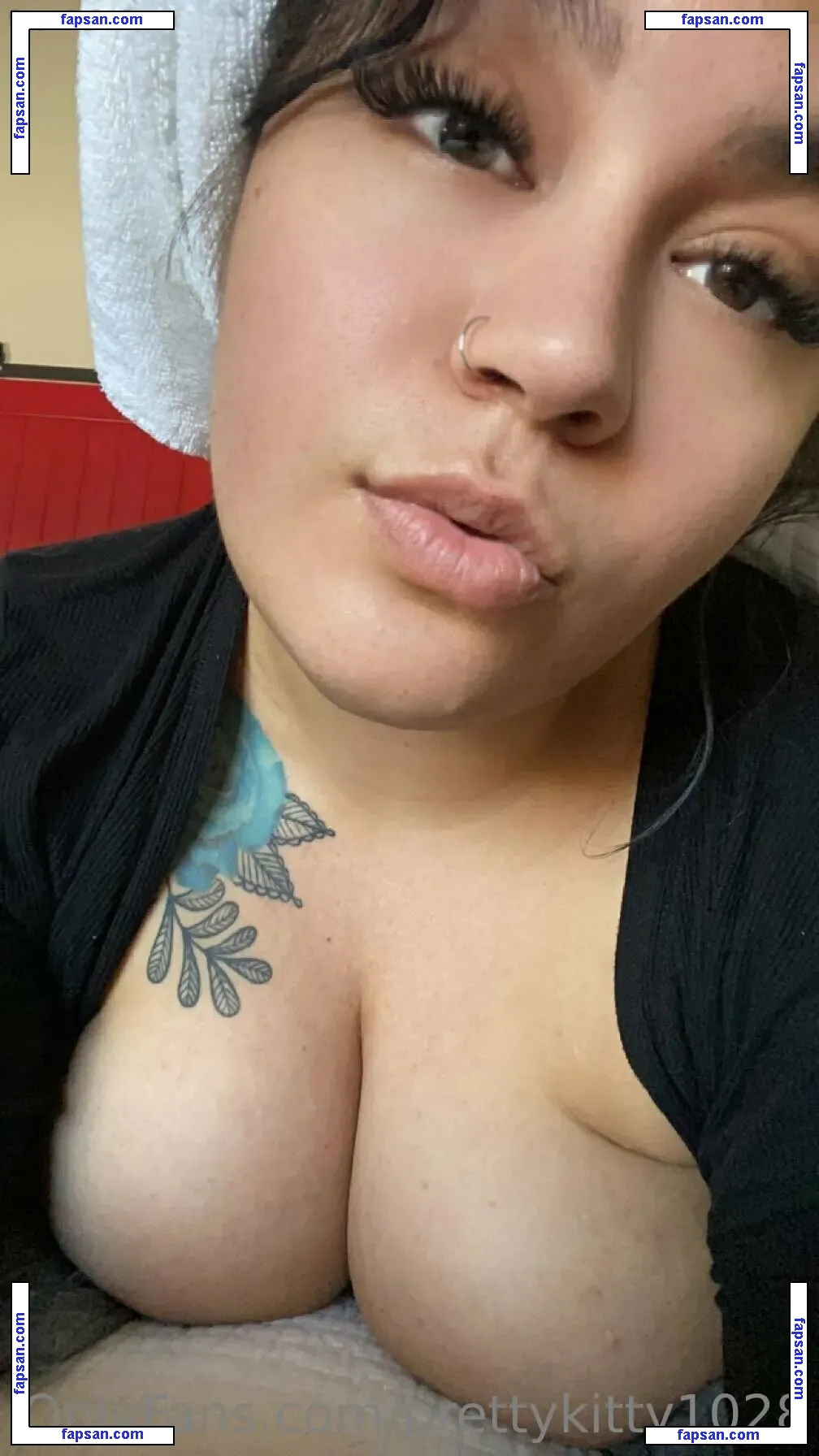 prettykitty1028 nude photo #0006 from OnlyFans