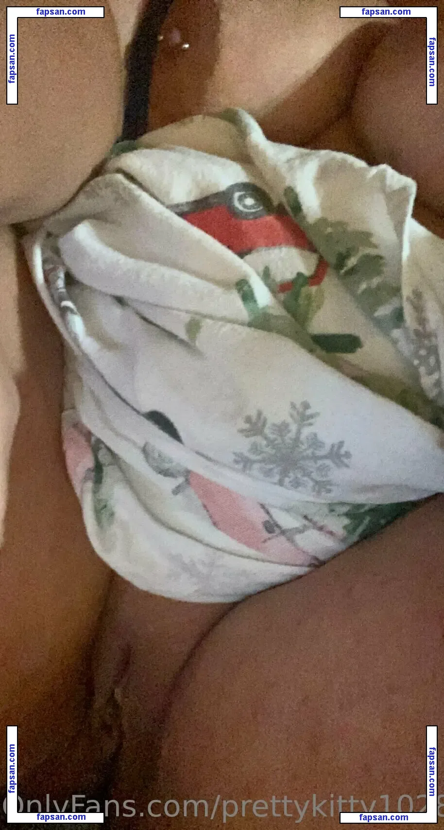 prettykitty1028 nude photo #0019 from OnlyFans