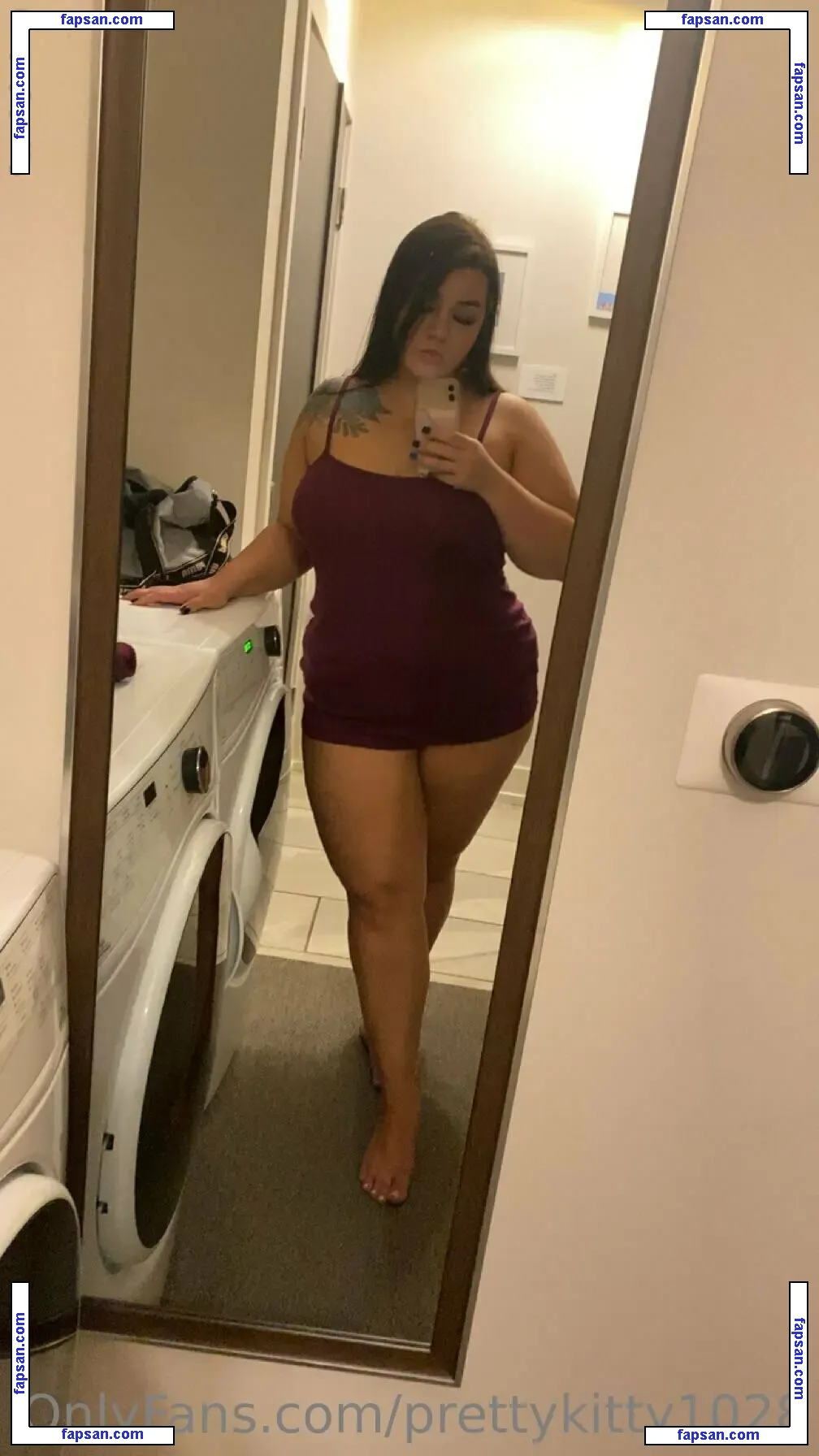 prettykitty1028 nude photo #0022 from OnlyFans