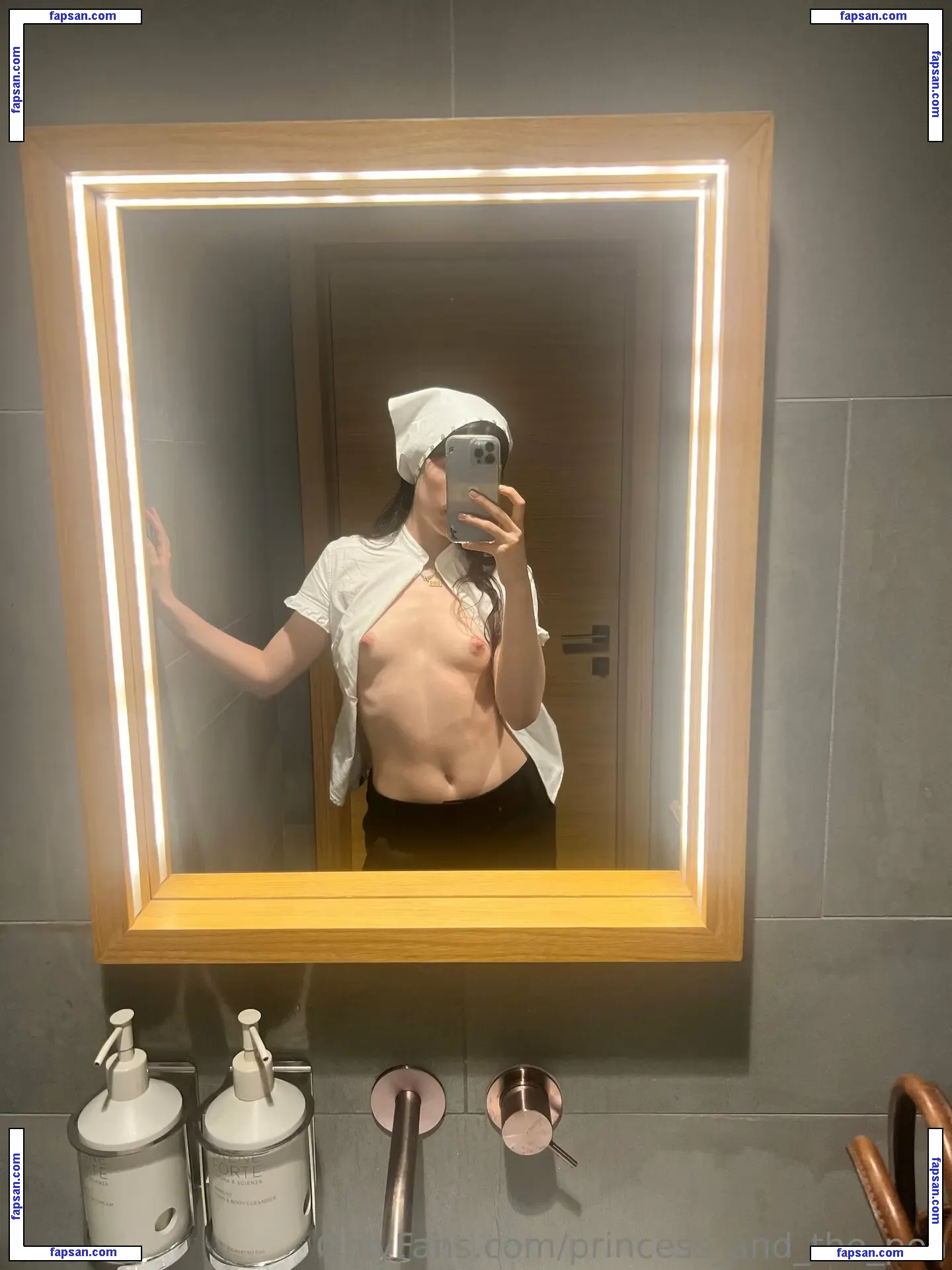 princess_and_the_pea nude photo #0003 from OnlyFans