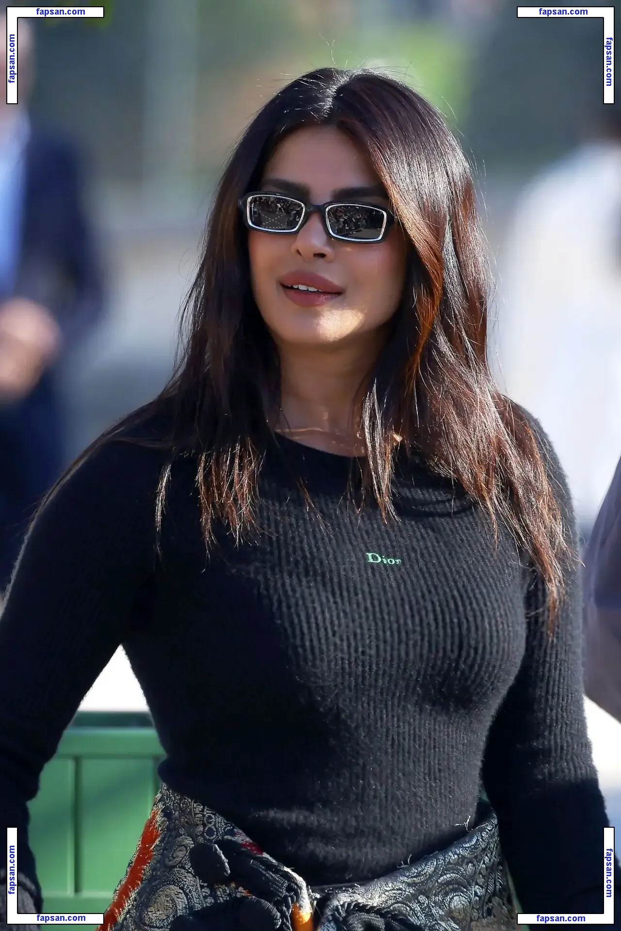 Priyanka Chopra голая фото #1475 с Онлифанс