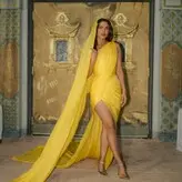 Priyanka Chopra голая #1466