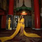 Priyanka Chopra голая #1470